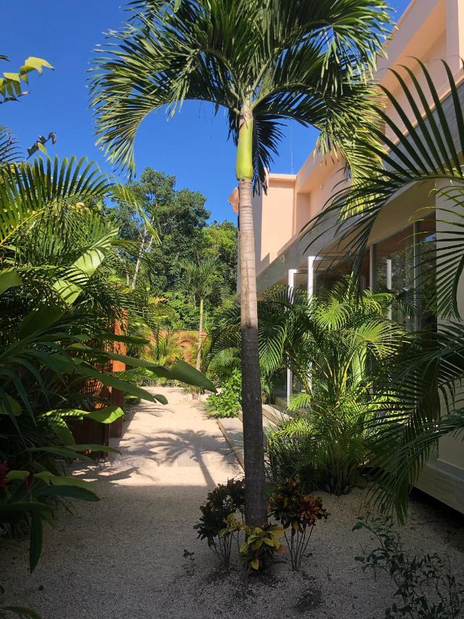 11Br I Hacienda Zalama Tulum Exterior photo